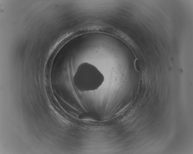 X0000071780722200607211556