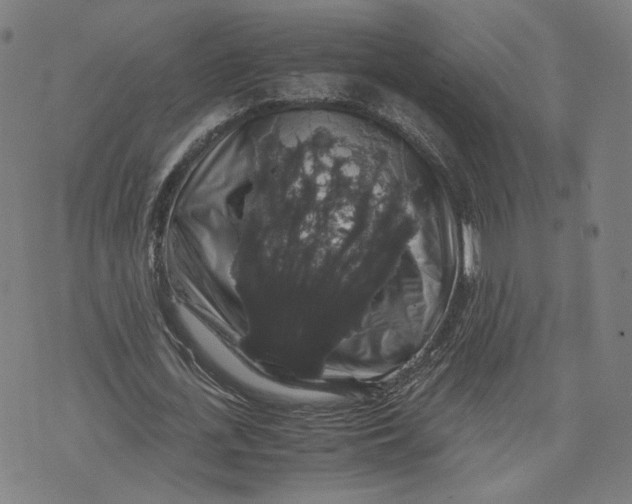 X0000071780723200607211556