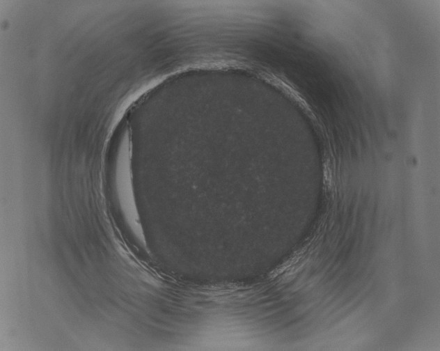 X0000071780724200607211556