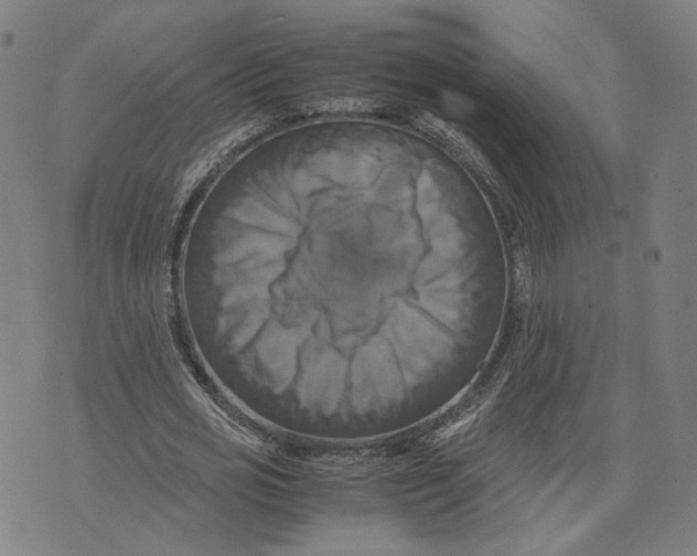 X0000071780725200607211556