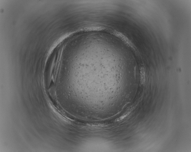 X0000071780726200607211556