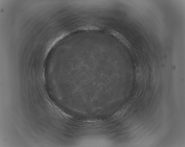 X0000071780727200607211556