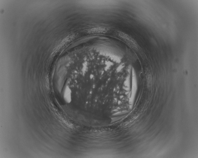 X0000071780729200607211556