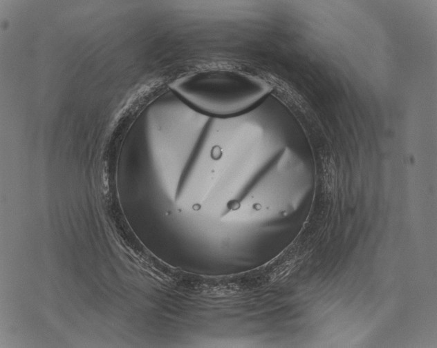 X0000071780731200607211556