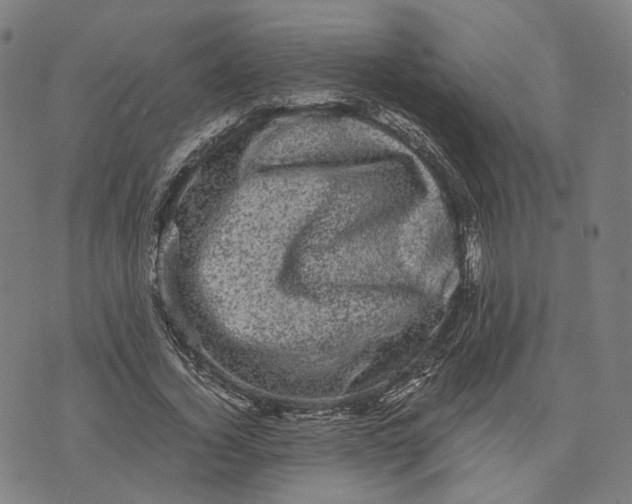 X0000071780732200607211556