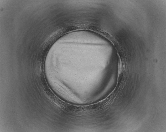 X0000071780733200607211556