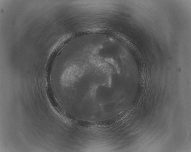 X0000071780734200607211556