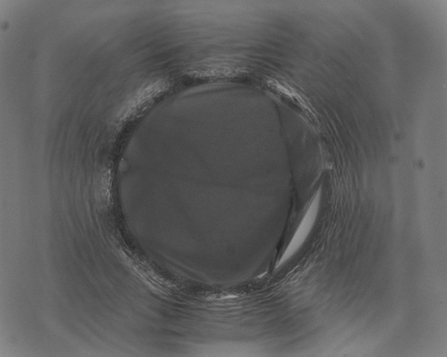 X0000071780735200607211556