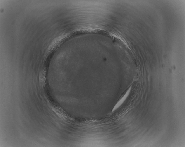 X0000071780736200607211556