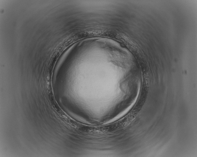 X0000071780737200607211556