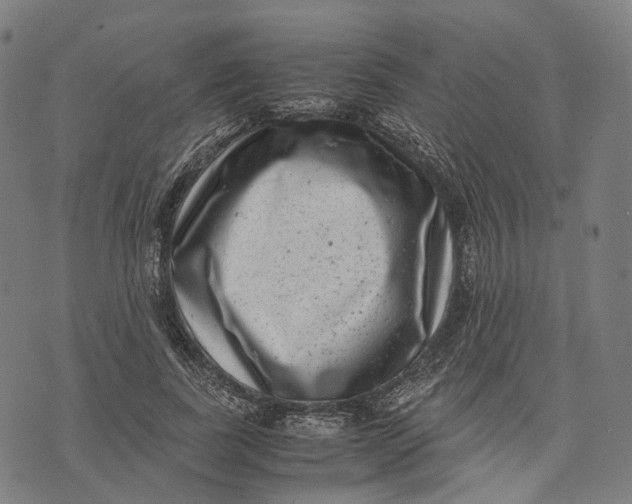 X0000071780739200607211556