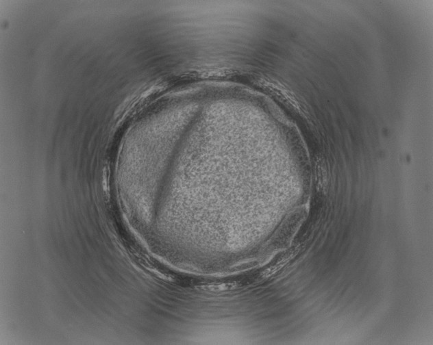 X0000071780740200607211556