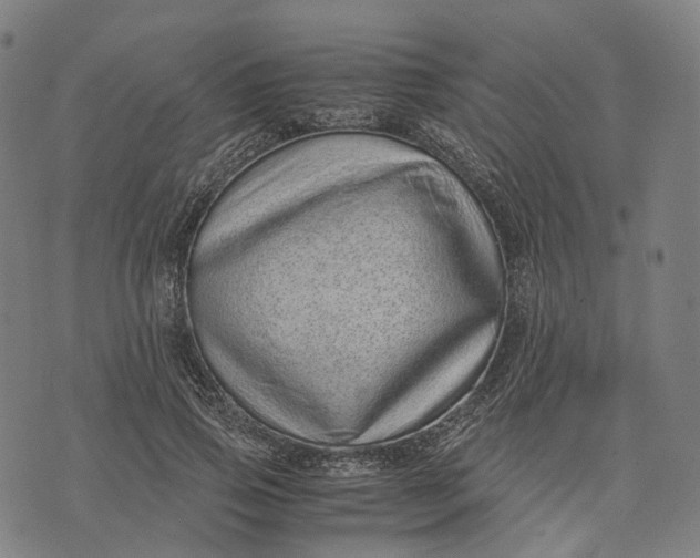 X0000071780741200607211556