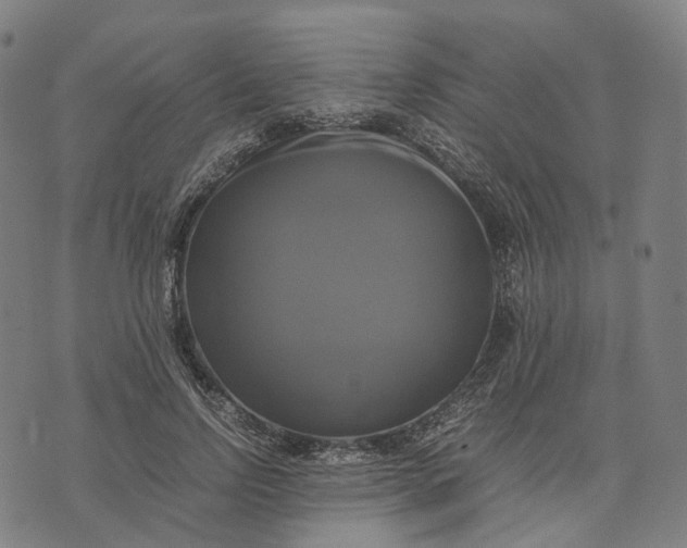 X0000071780742200607211556