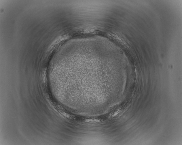 X0000071780744200607211556