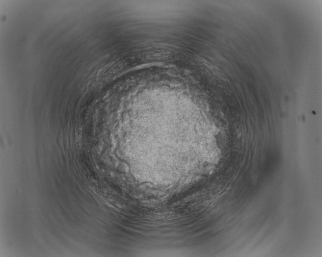 X0000071780745200607211556