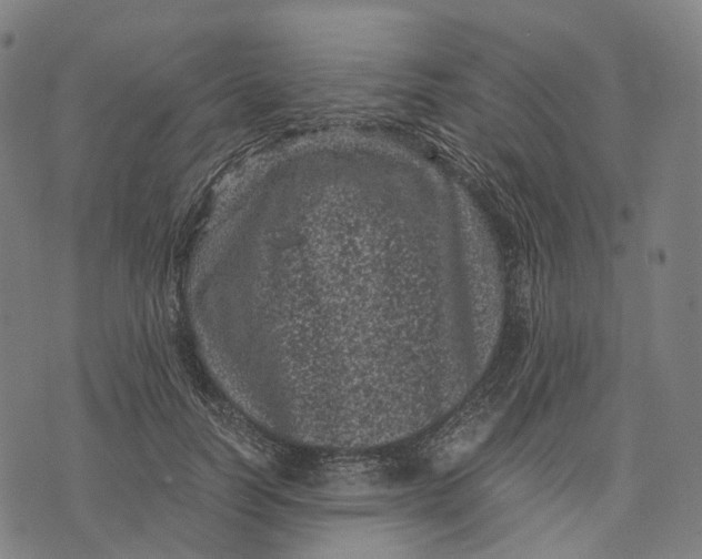 X0000071780746200607211556