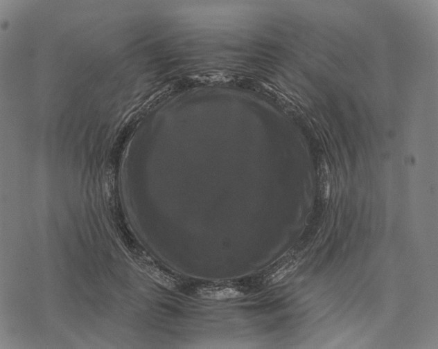 X0000071780747200607211556