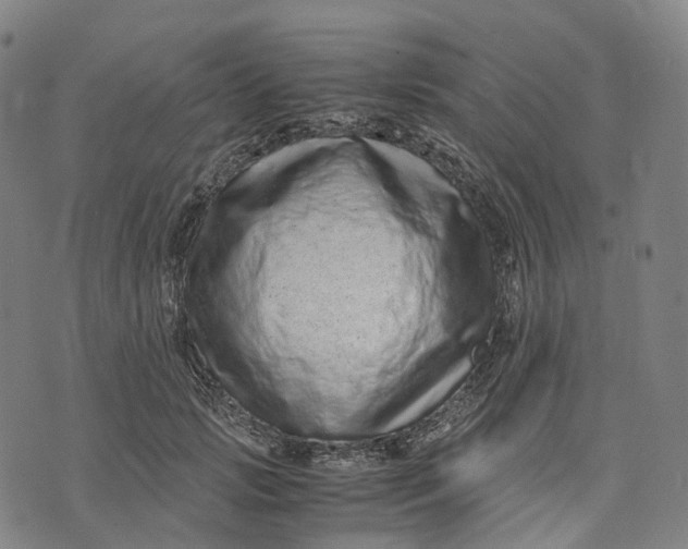 X0000071780749200607211556