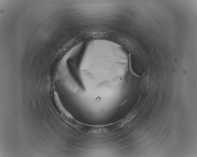 X0000071780752200607211556