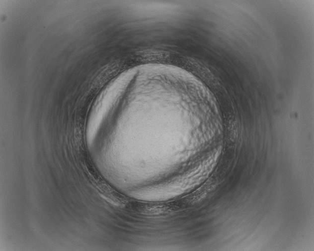 X0000071780753200607211556