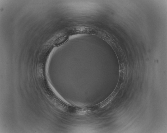 X0000071780754200607211557