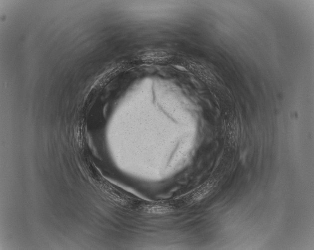 X0000071780755200607211557