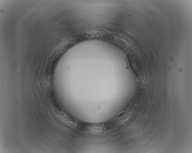 X0000071780756200607211557