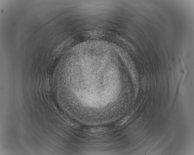 X0000071780757200607211557