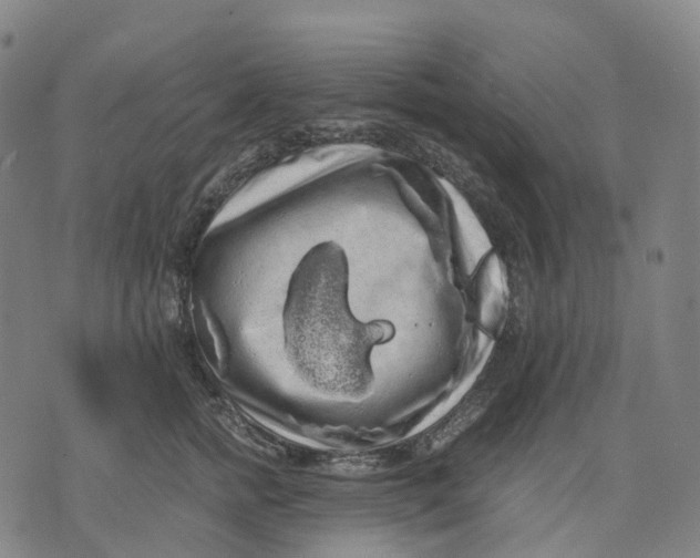 X0000071780758200607211557