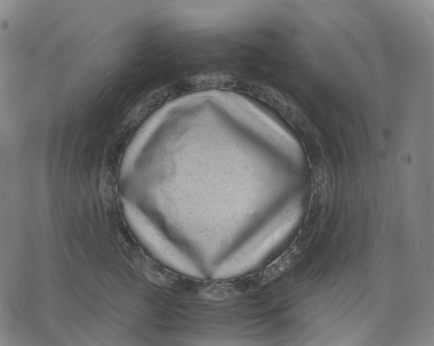 X0000071780761200607211557