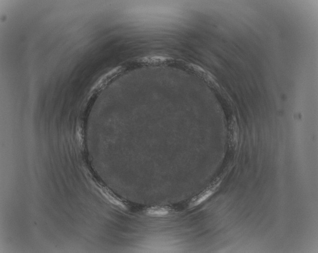 X0000071780762200607211557