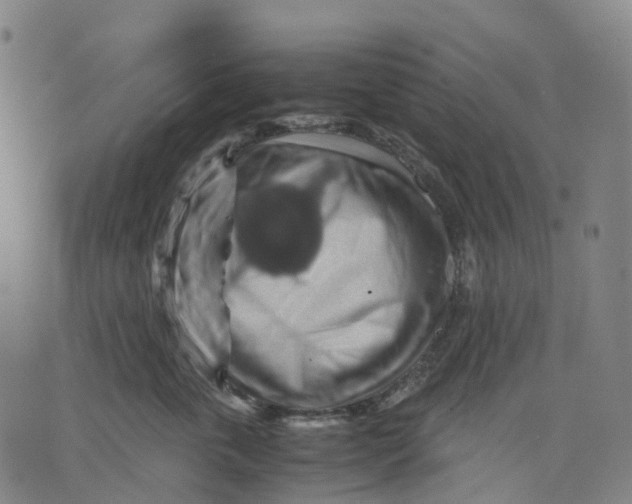 X0000071780763200607211557