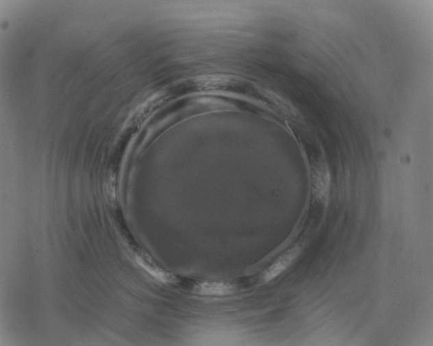 X0000071780766200607211557