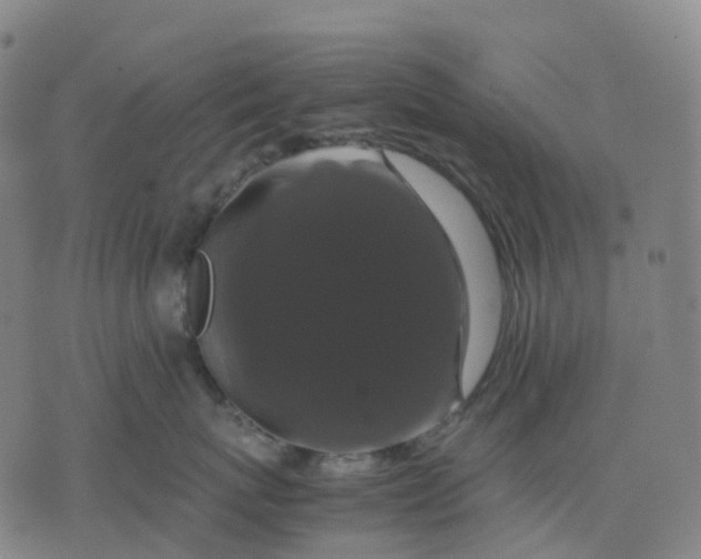 X0000071780767200607211557