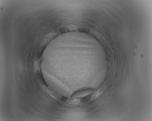 X0000071780768200607211557