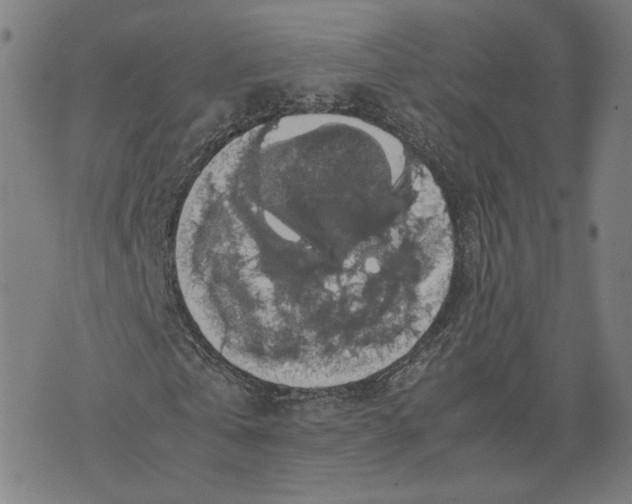 X0000071780769200607211556