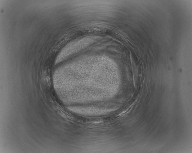 X0000071780771200607211556