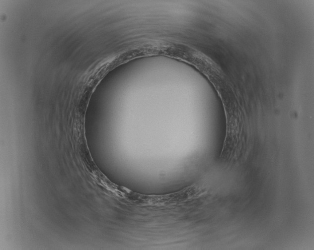 X0000071780773200607211556