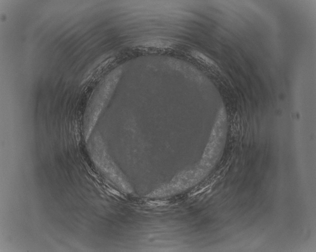 X0000071780774200607211556