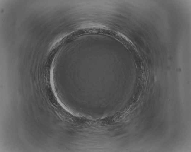 X0000071780775200607211556