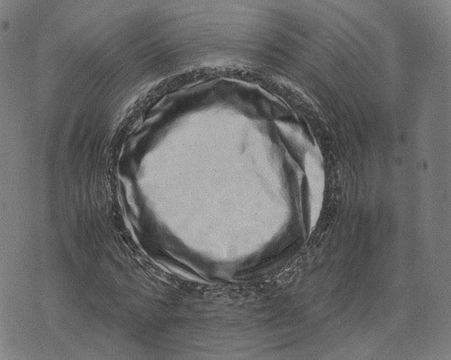 X0000071780776200607211556