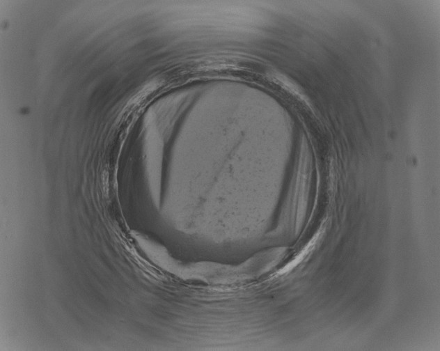 X0000071780777200607211556