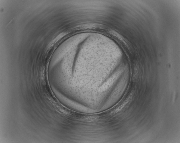 X0000071780778200607211556