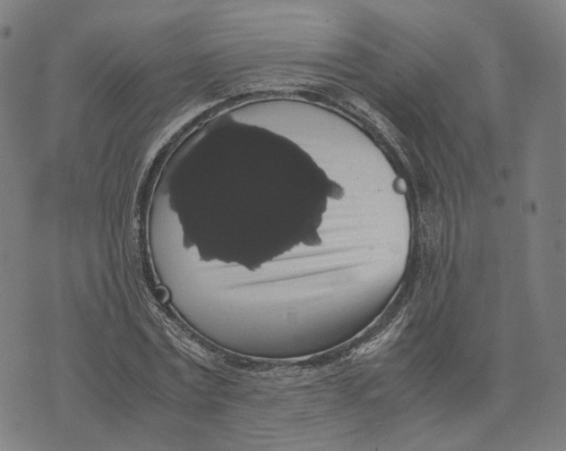 X0000071780779200607211556