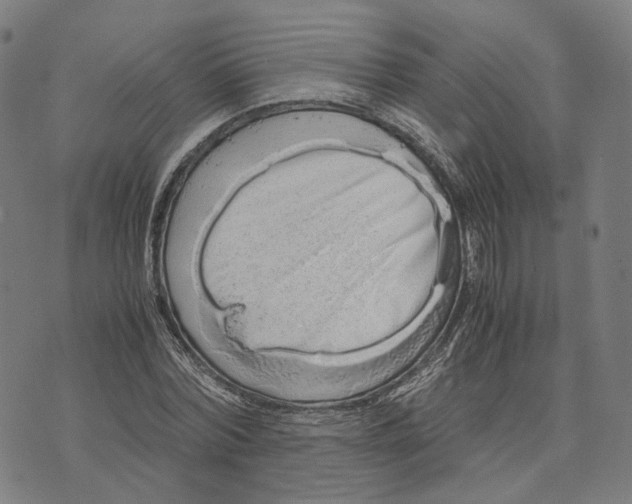 X0000071780780200607211556