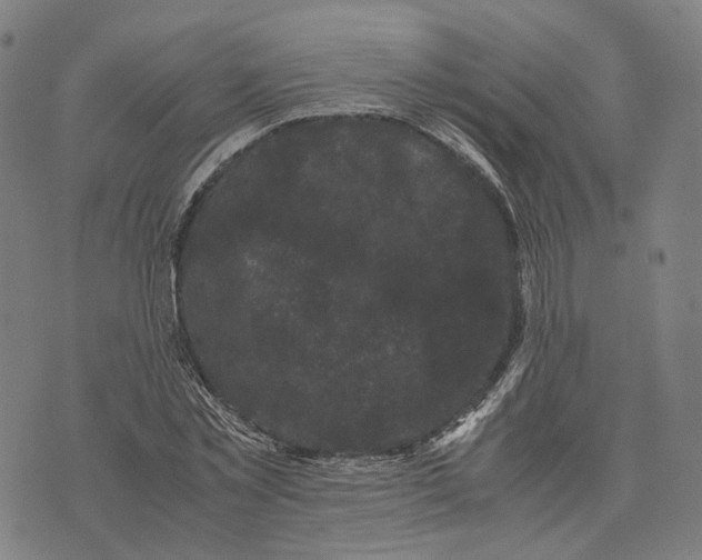 X0000071780781200607211556