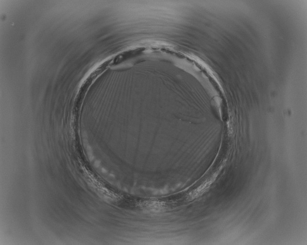 X0000071780783200607211556