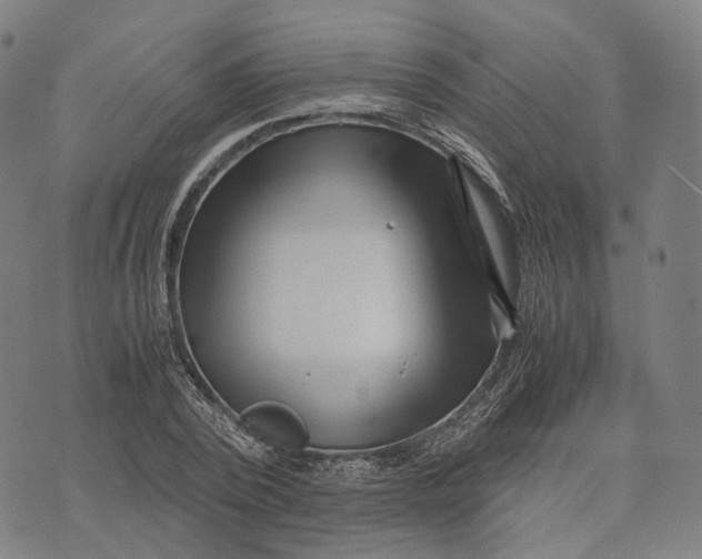 X0000071780784200607211556