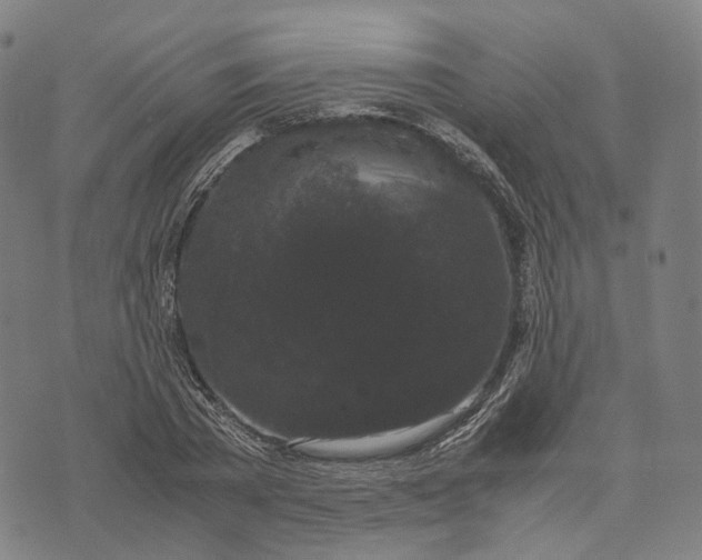 X0000071780785200607211556